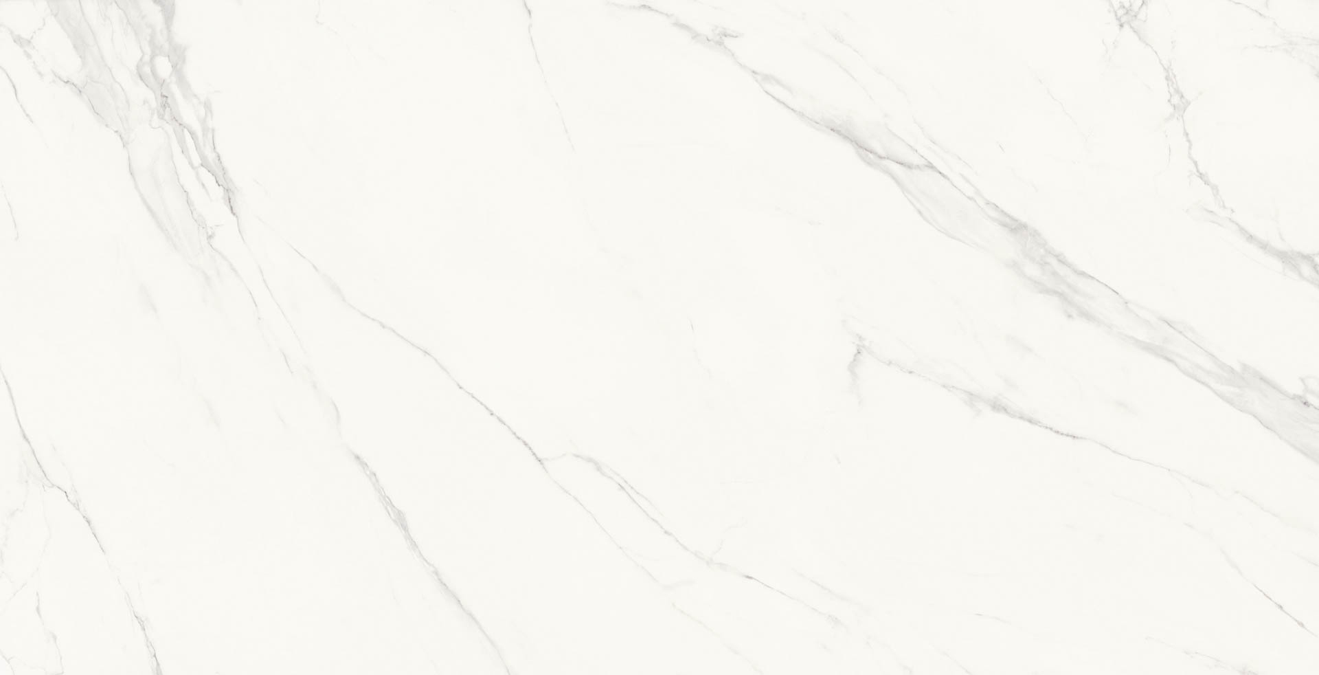 Calacatta Gris