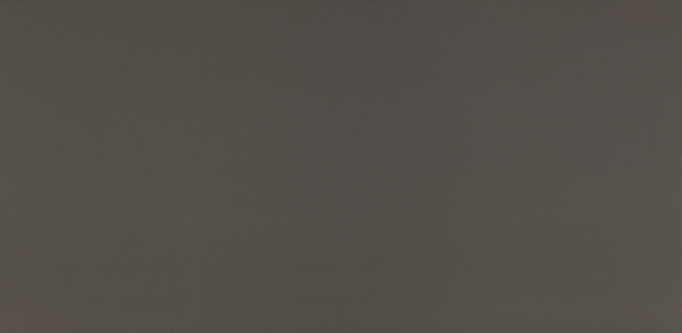 Diversa 1106